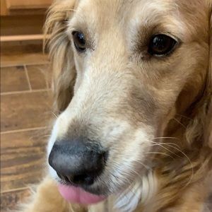 Meet your Posher, Michaela